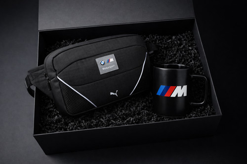 BMW M Motorsport